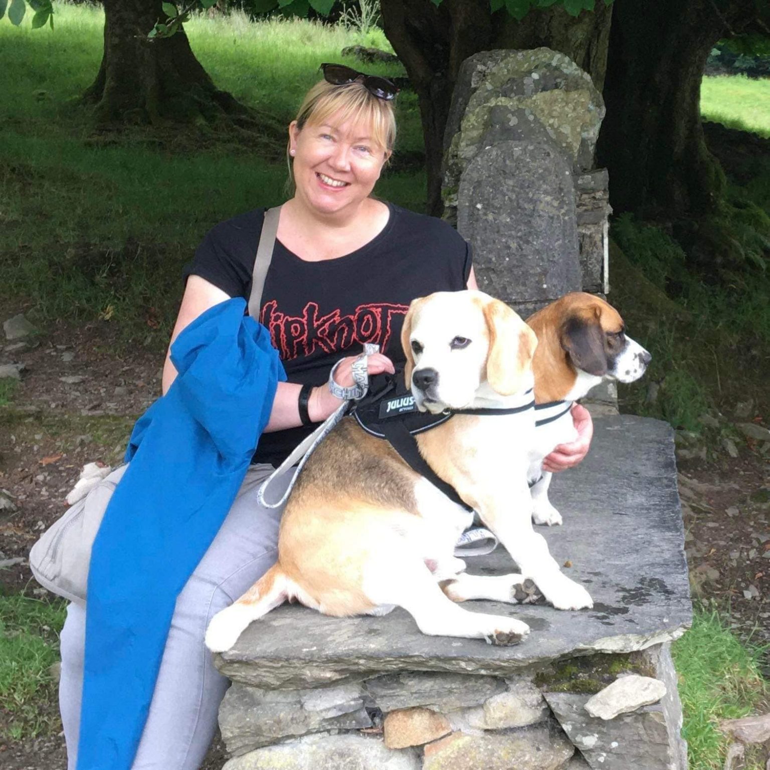 About EverMore EverMore Dog Rescue