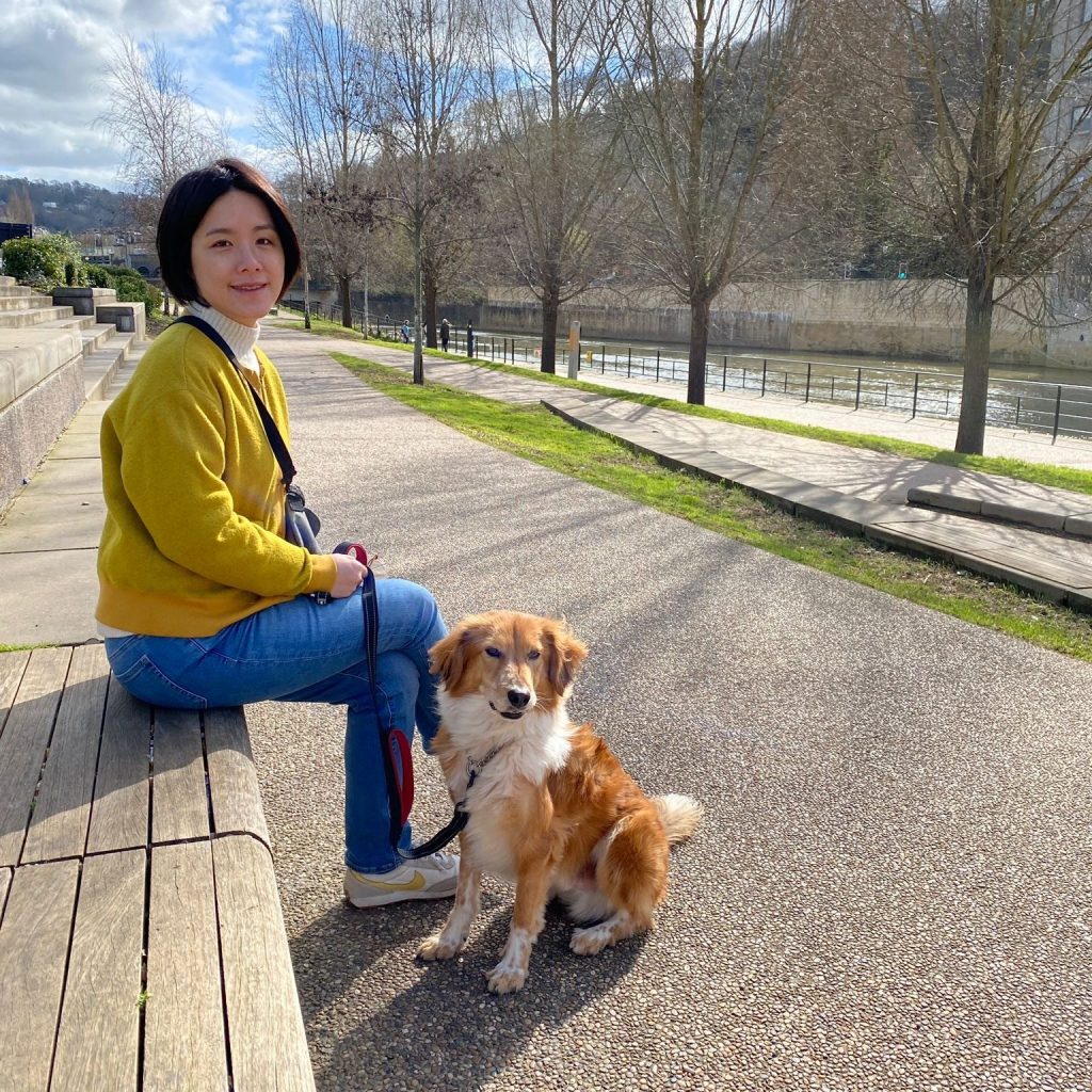 About EverMore EverMore Dog Rescue