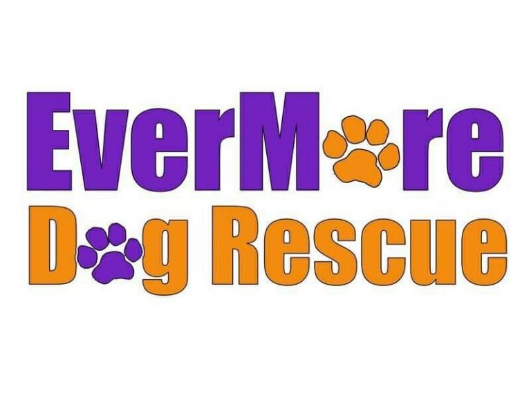 Home EverMore Dog Rescue