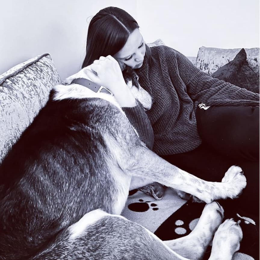 Celebrating National Rescue Dog Day EverMore Dog Rescue